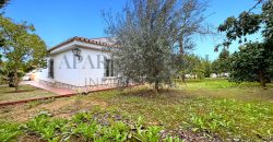 Gran chalet independiente en Alhaurín de la Torre con piscina y amplios jardines