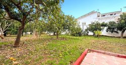 Gran chalet independiente en Alhaurín de la Torre con piscina y amplios jardines